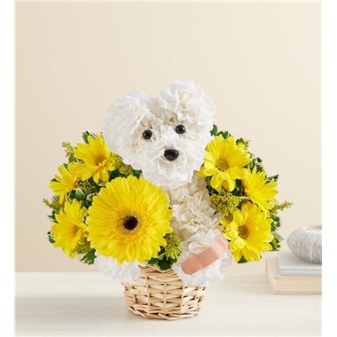 Sick As A Dog&trade;