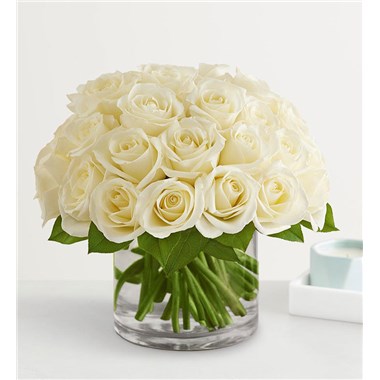 Contemporary White Roses For Sympathy