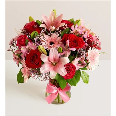 Fields Of Europe Romance